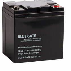 ​​bluegate ​24AH 12V BATTERY